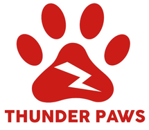Thunder Paws