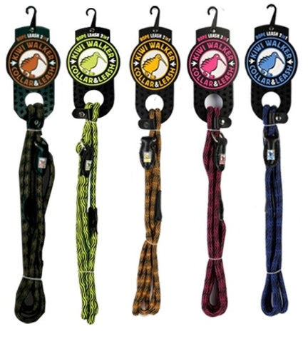 Kiwi Solid Leash main image 1