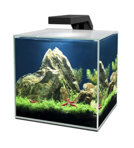 Ciano Cube 10 Led Aquarium – Pethq