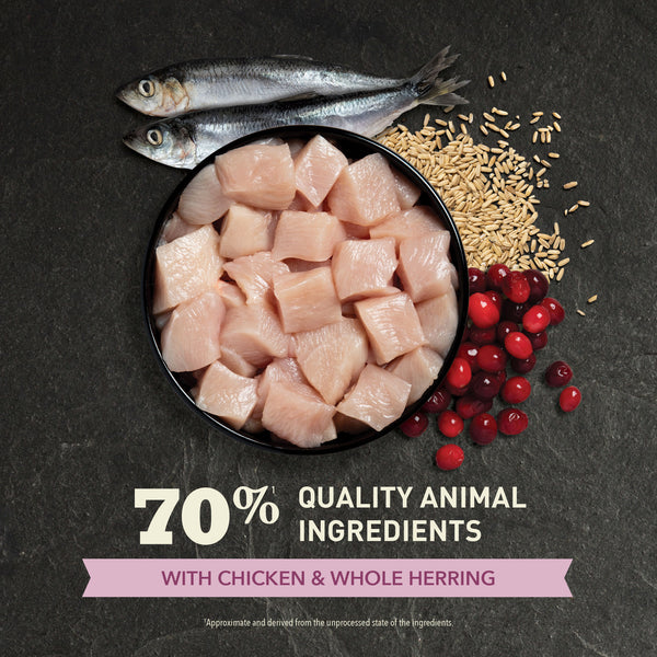 Acana First Feast Chicken With Herring Kitten Dry Food