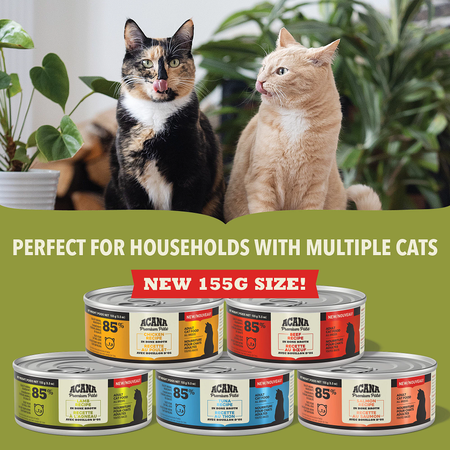 Acana Premium Salmon & Chicken Pate Cat Wet Food 85G