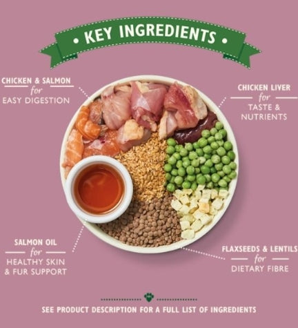 Lily's Kitchen Puppy Recipe with Chicken, Salmon & Peas Dry Food