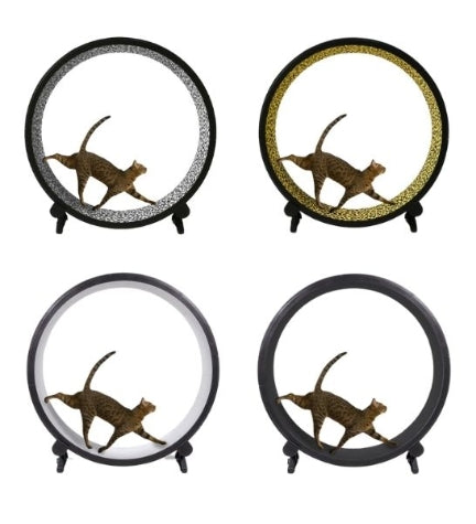 ONE FAST CAT Exercise Cat Wheel 5th Generation – PetHQ