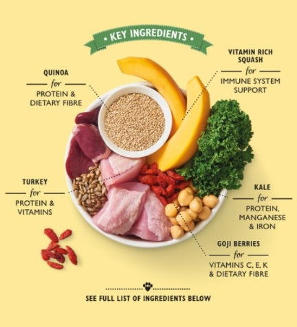 Lily's Kitchen Lean Machine Wet Dog Food 150G